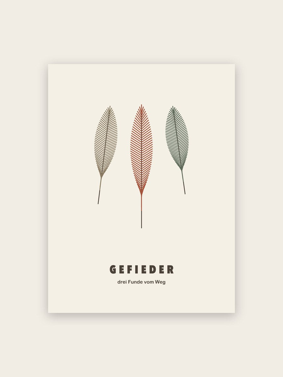 Federn Poster Naturkunde