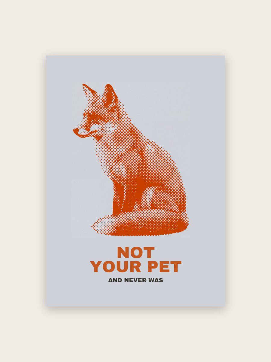 Not Your Pet Fuchs