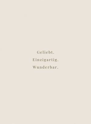 Begleitposter 3